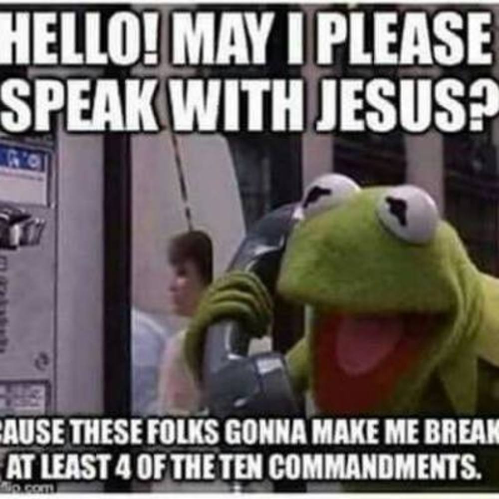 Meet your Posher, Rosalie